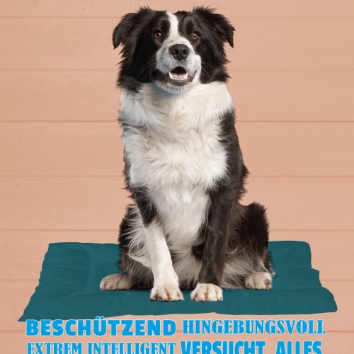 Schild Spruch Border Collie Beschützend Extrem Intelligent Hund JW