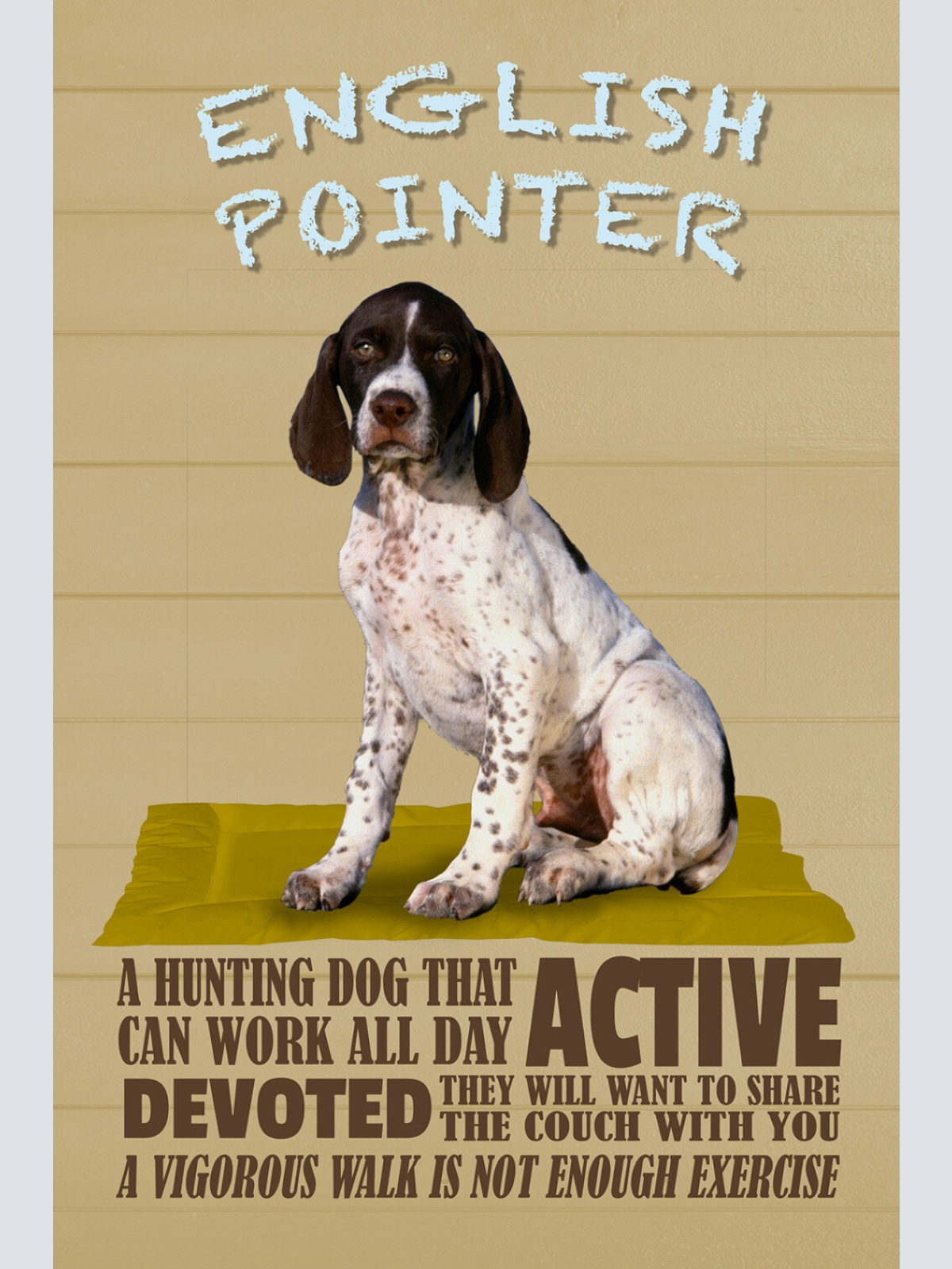 Schild Spruch English Pointer Steckbrief Active Aktiv Hund JW