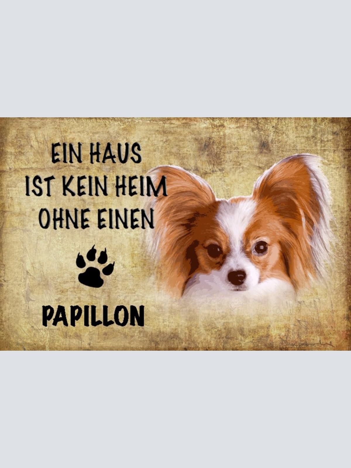 Schild Spruch Haus ist kein Heim ohne Papillon Hund JW