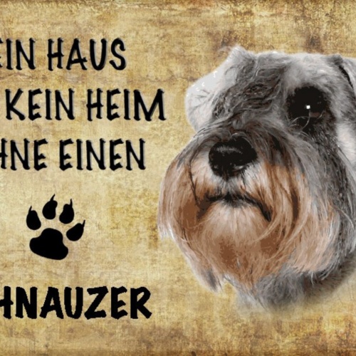 Schild Spruch Haus ist keine Heim ohne Schnauzer Hund JW
