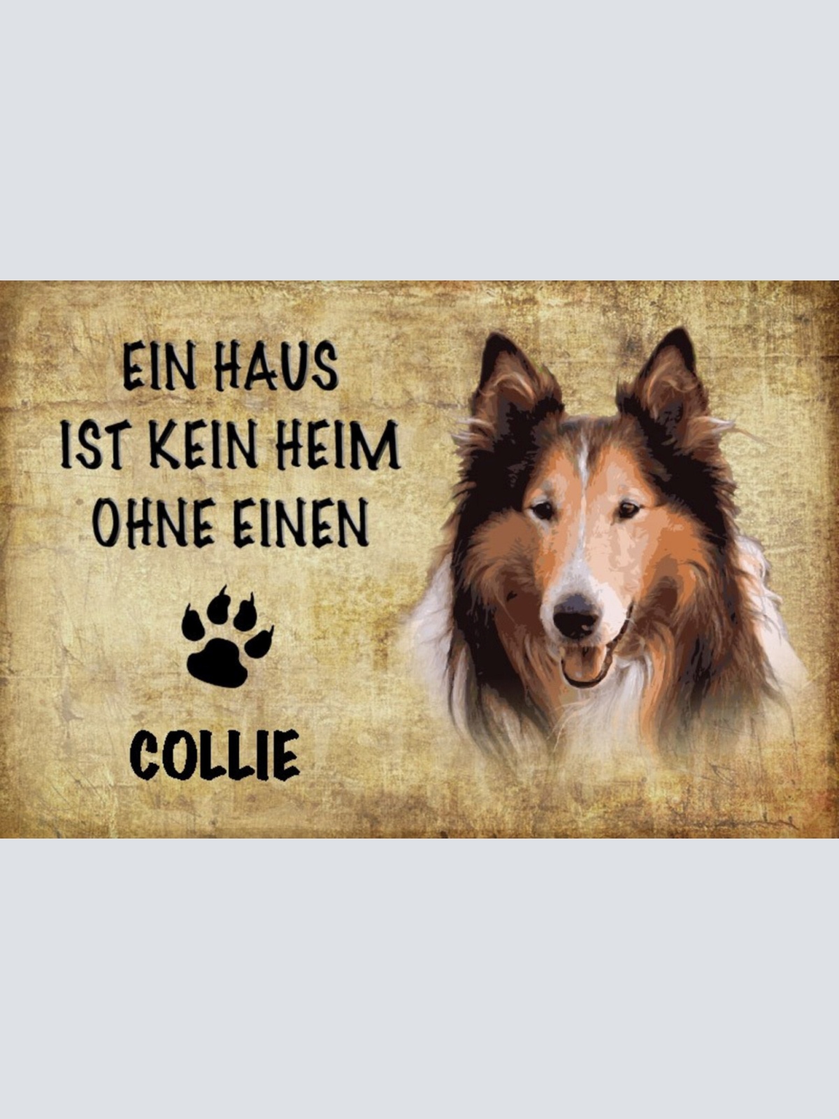 Schild Spruch Haus ist keine Heim ohne Collie Hund JW