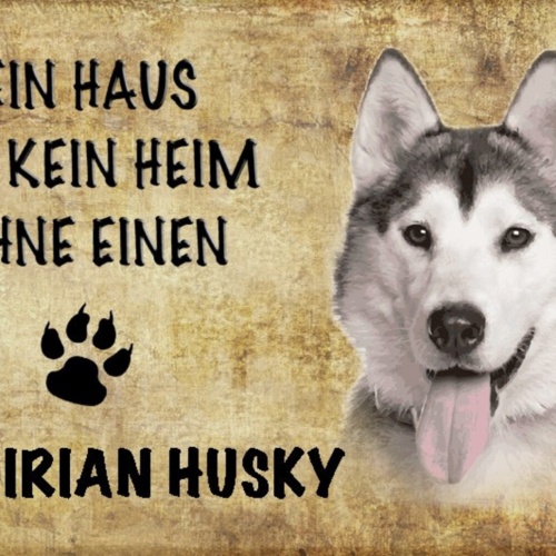 Schild Spruch Haus ist kein Heim ohne Sibirian Husky Hund JW