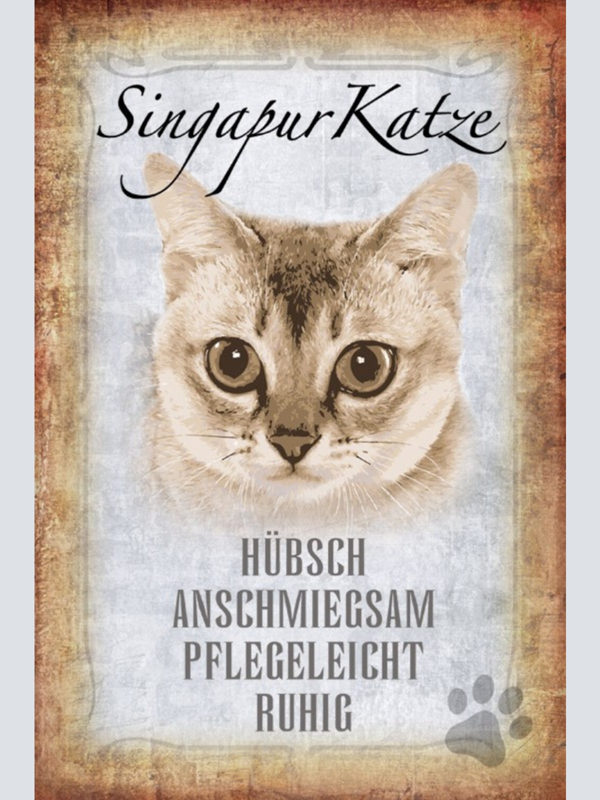 Schild Spruch Singapur Katze Steckbrief Hübsch Pflegeleicht JW
