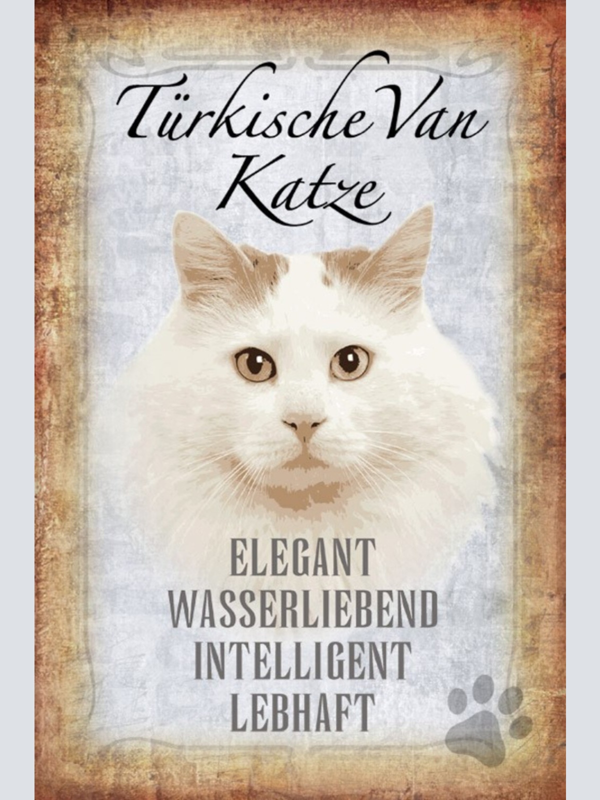 Schild Spruch Türkische Van Katze Steckbrief Elegant Wasserliebend JW