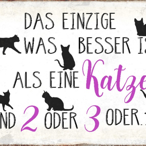 Schild Spruch Das einzige was besser ist als eine Katze sind zwei oder drei  JW