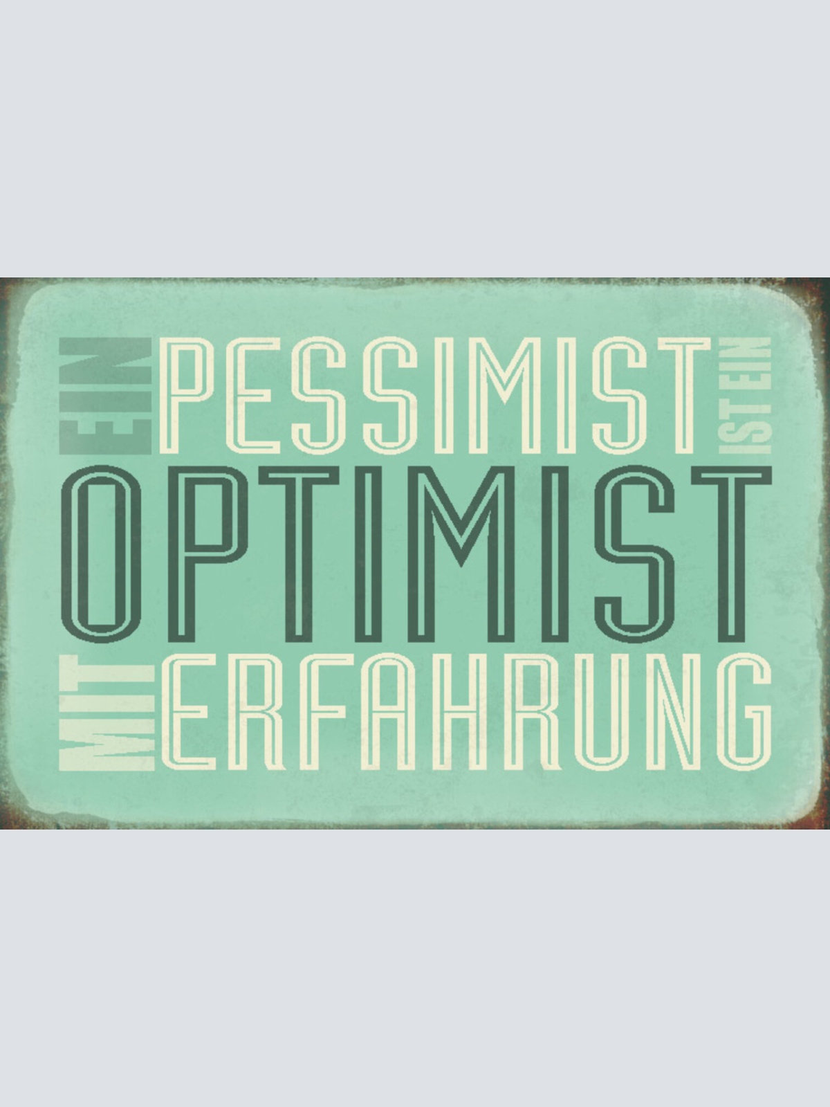 Schild Spruch Ein Pessimist ist ein Optimist mit Erfahrung JW