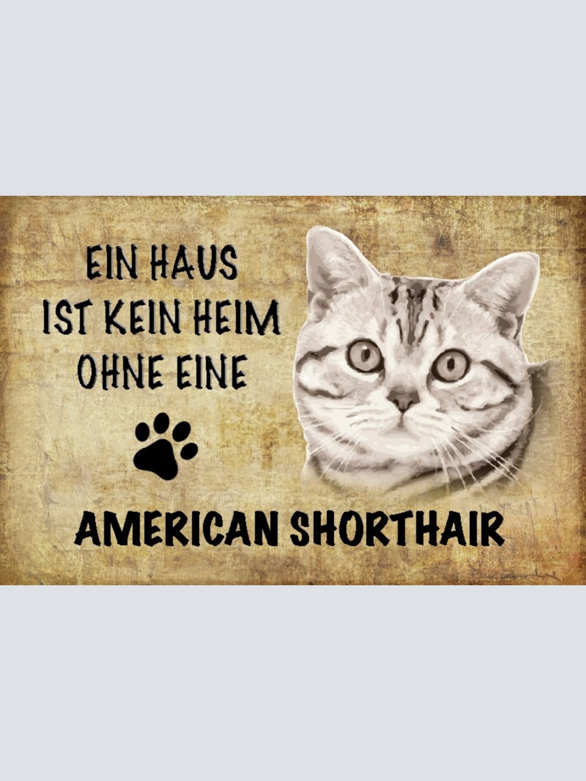 Schild Spruch Haus ist kein Heim ohne American Shorthair Katze JW