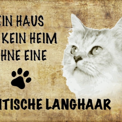 Schild Spruch Haus ist kein Heim ohne Britische Langhaar Katze JW