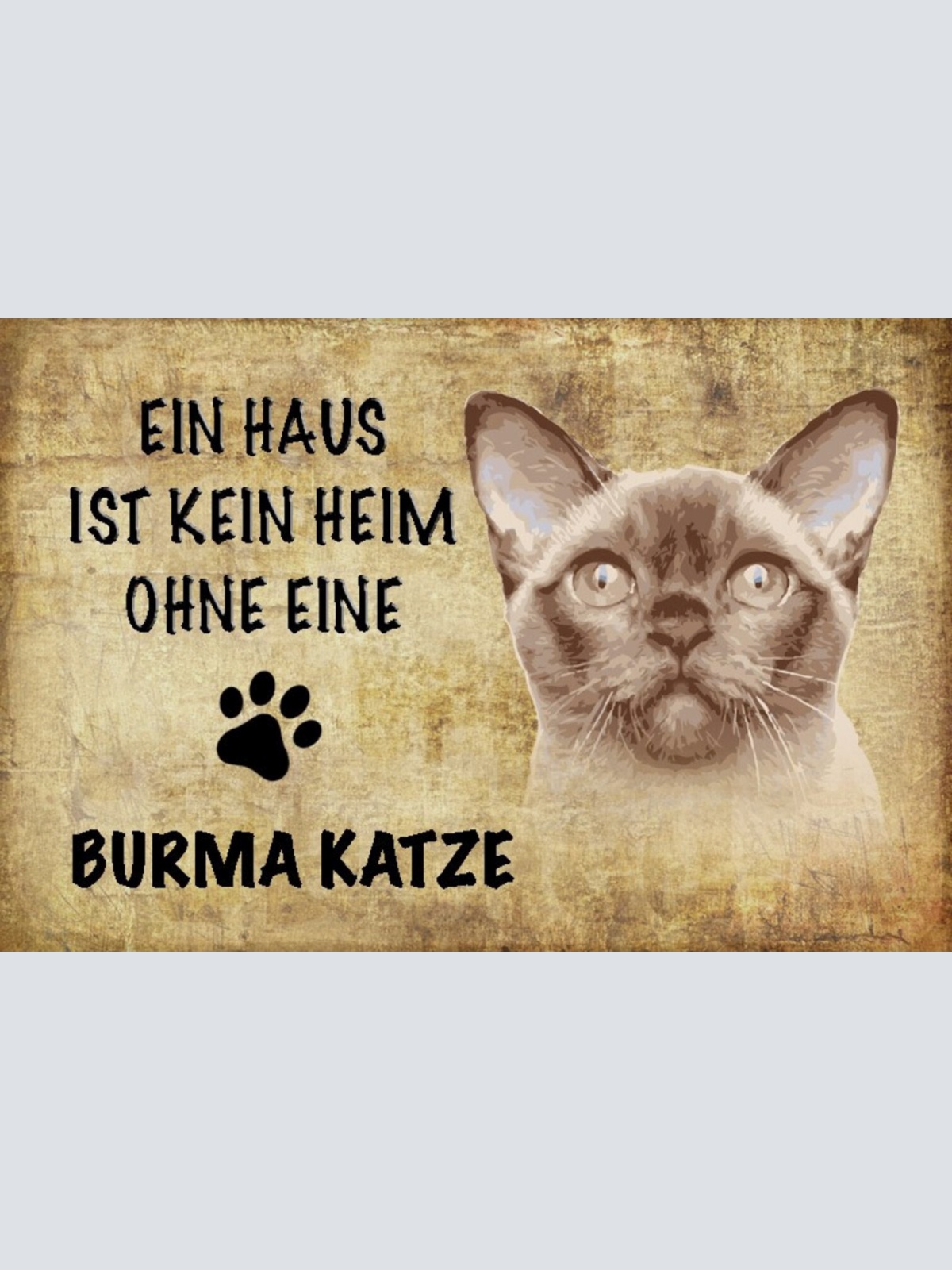 Schild Spruch Haus ist kein Heim ohne Burma Katze JW