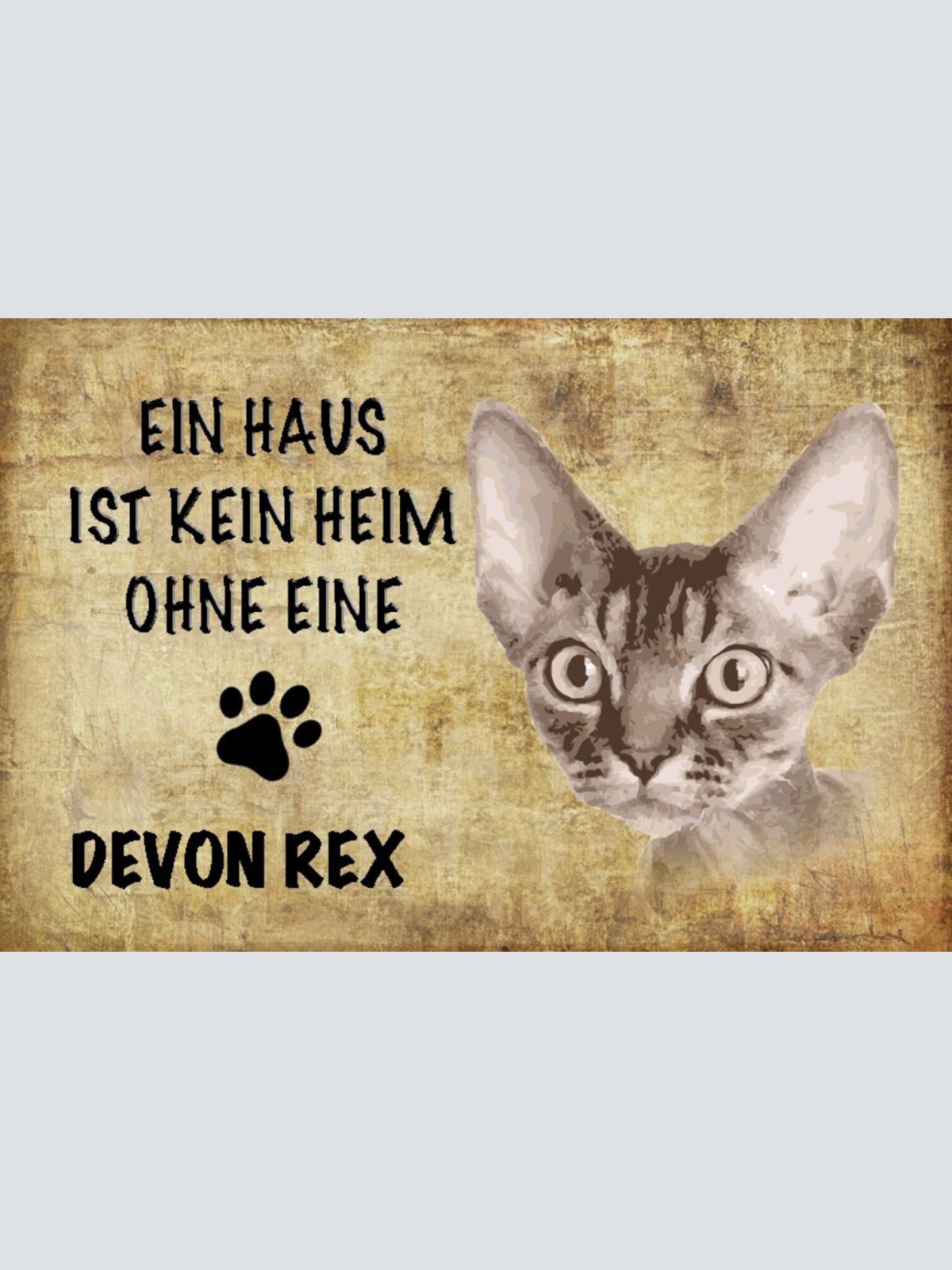 Schild Spruch Haus ist kein Heim ohne Devon Rex Katze JW