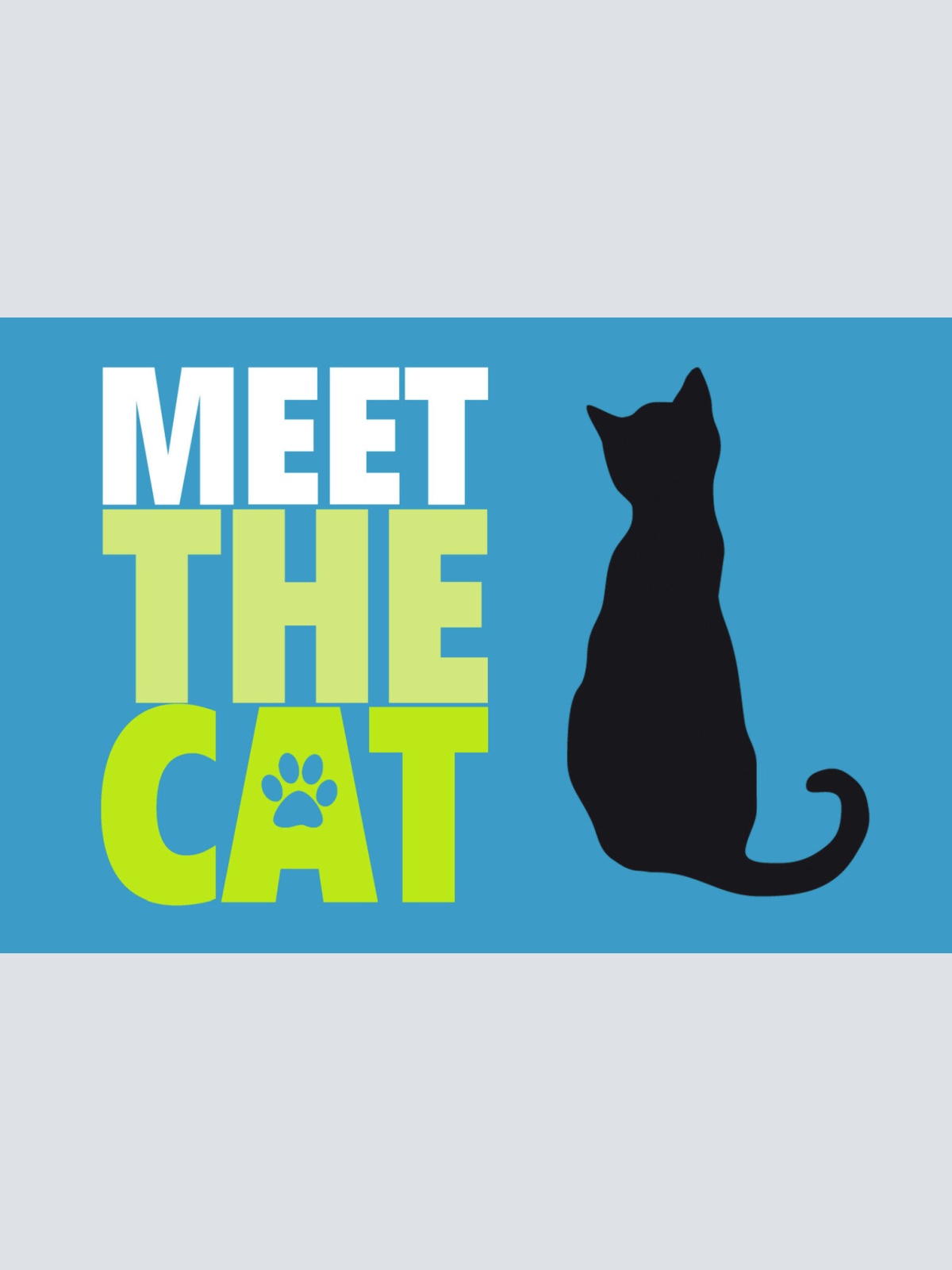 Schild Spruch Meet the cat Lern die Katze kennen JW