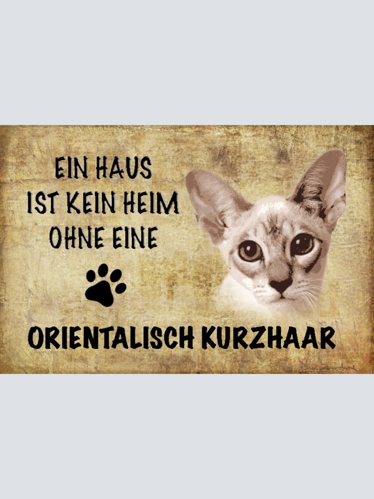 Schild Spruch Haus ist kein Heim ohne Orientalisch Kurzhaar Katze JW