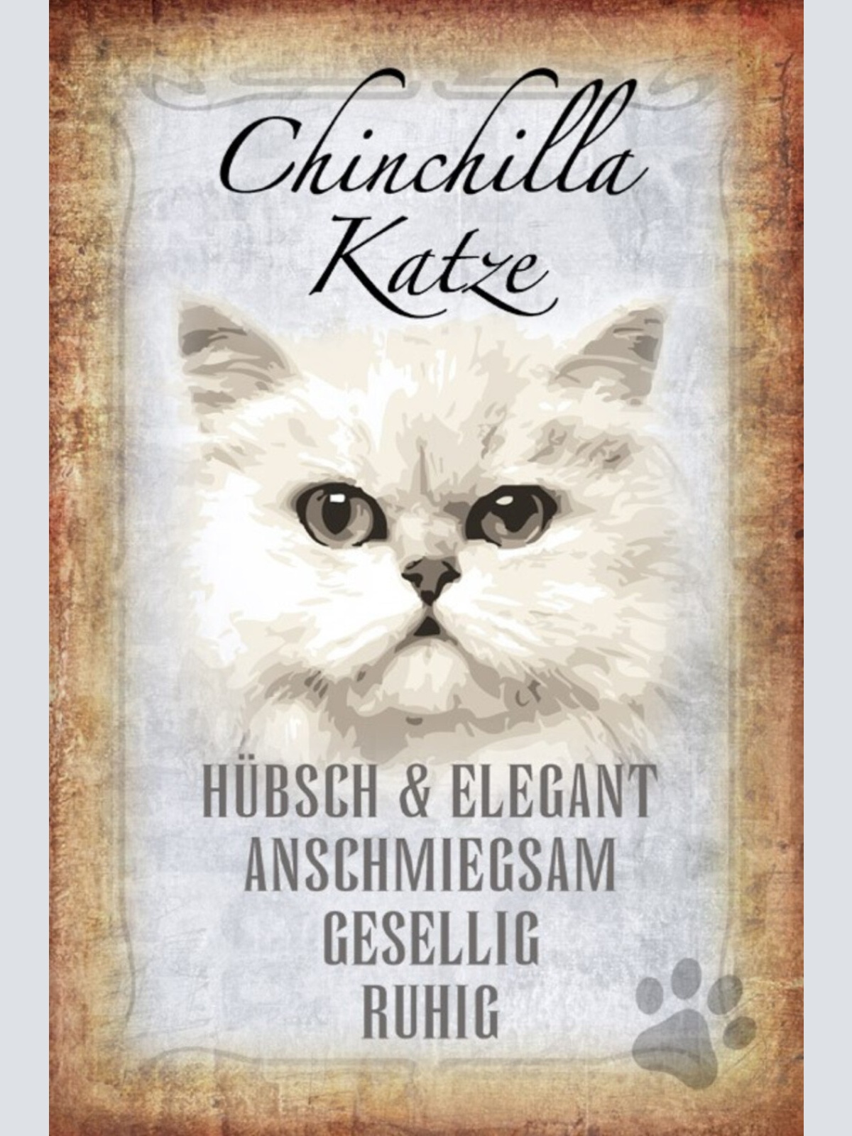 Schild Spruch Chinchilla Katze Steckbrief Hübsch Gesellig JW