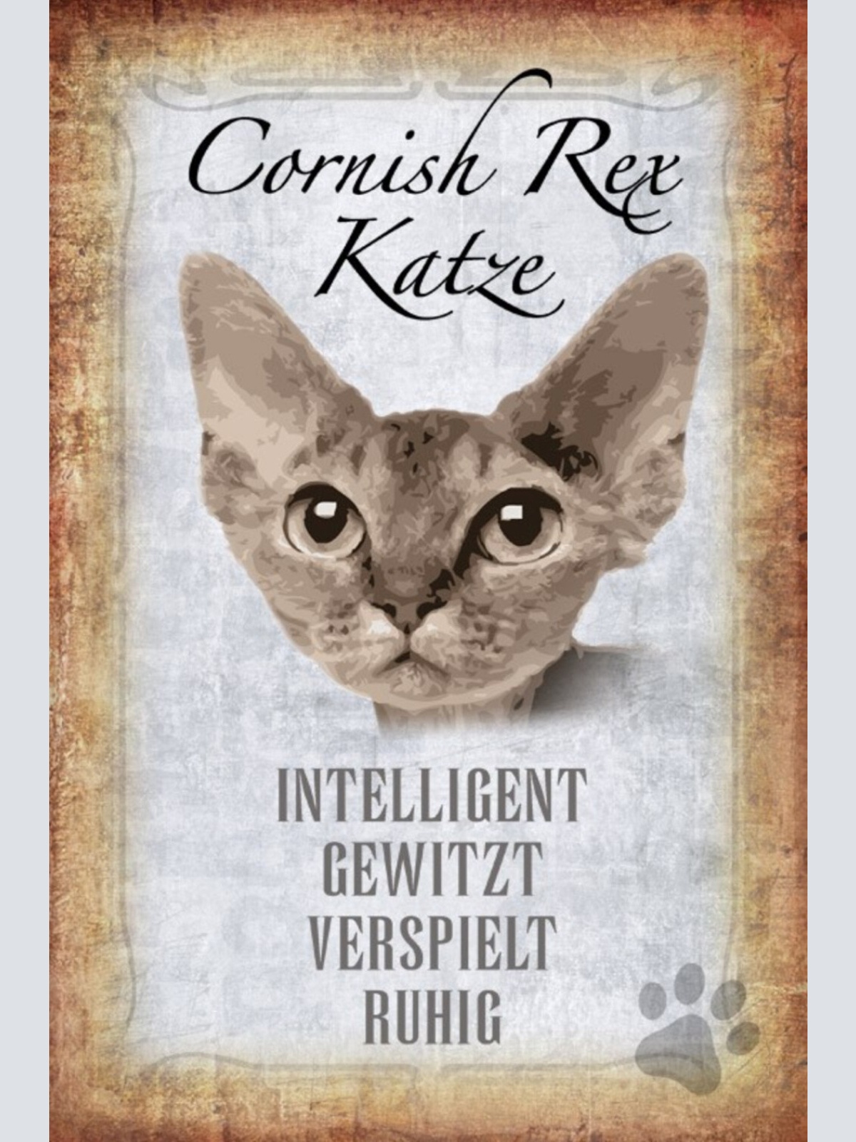 Schild Spruch Cornish Rex Katze Steckbrief Intelligent Gewitzt JW