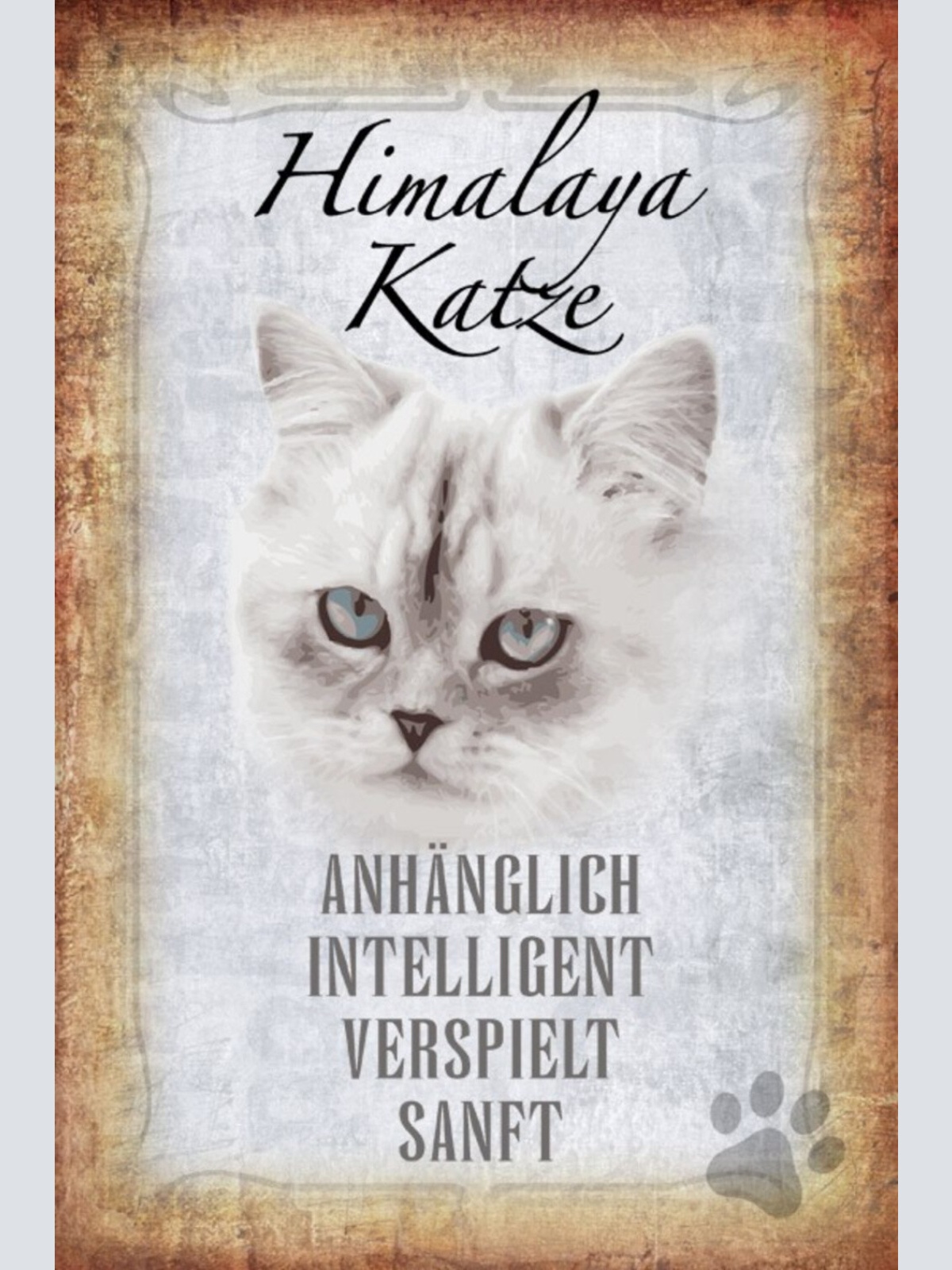 Schild Spruch Himalaya Katze Steckbrief Anhänglich Intelligent JW
