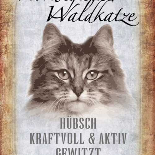 Schild Spruch Norwegische Waldkatze Hübsch Kraftvoll JW