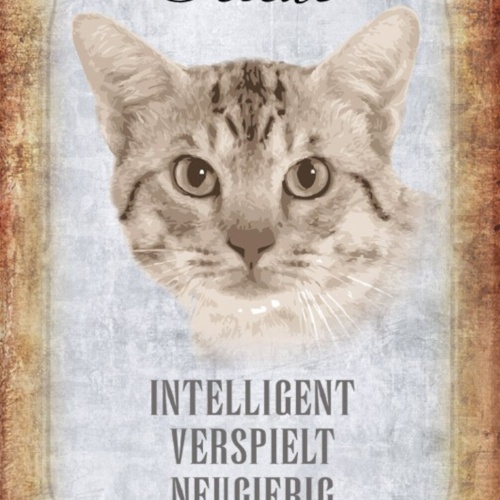 Schild Spruch Ocicat Katze Steckbrief Intelligent Verspielt JW