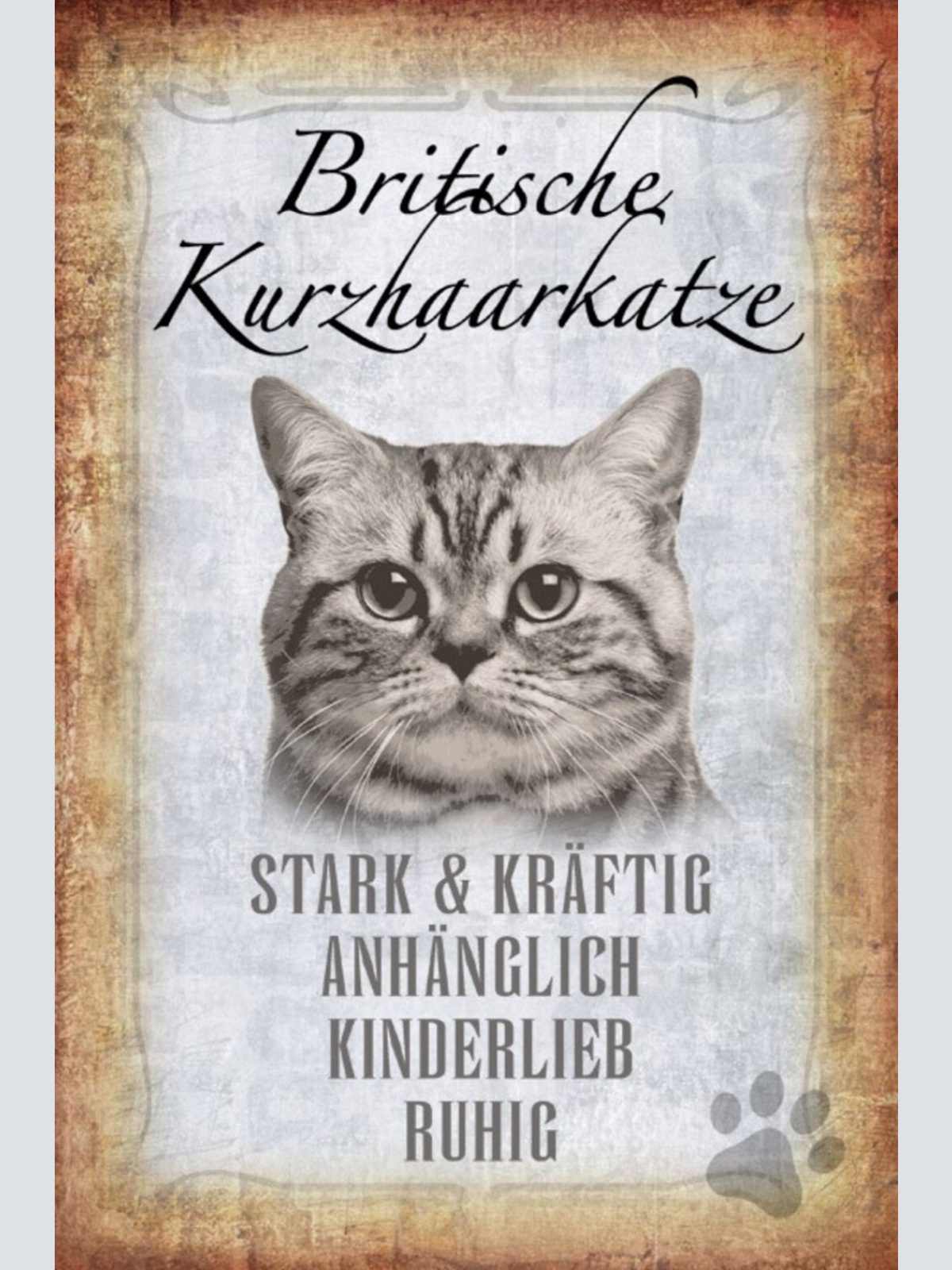 Schild Spruch Britische Kurzhaarkatze Steckbrief Anhänglich Kinderlieb JW