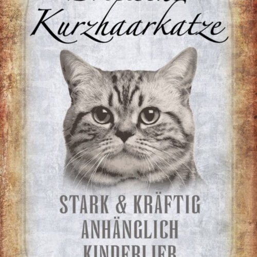 Schild Spruch Britische Kurzhaarkatze Steckbrief Anhänglich Kinderlieb JW