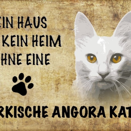 Schild Spruch Haus ist kein Heim ohne Türkische Angora Katze JW