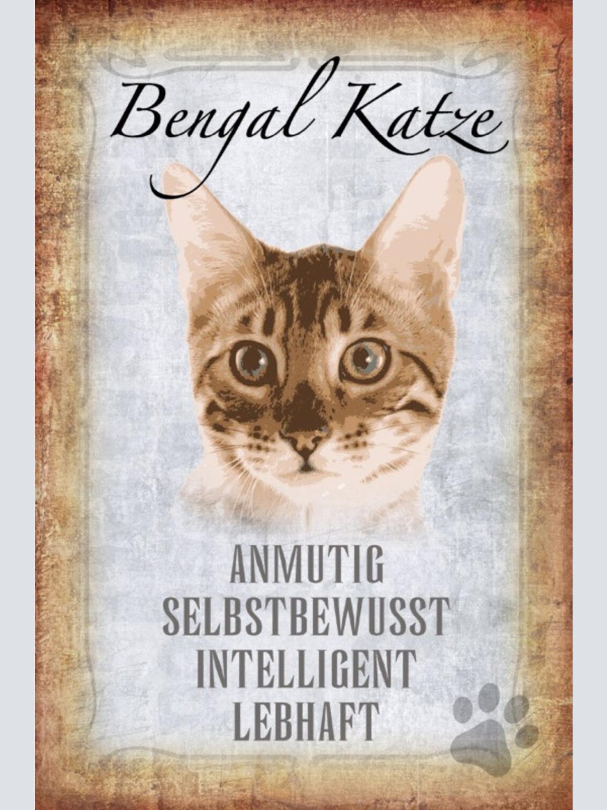 Schild Spruch Bengal Katze Steckbrief Anmutig Selbstbewußt JW