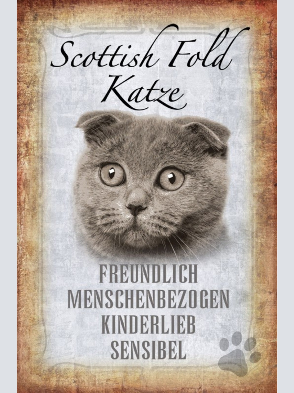 Schild Spruch Scottish Fold Katze Steckbrief Freundlich Menschenbezogen JW