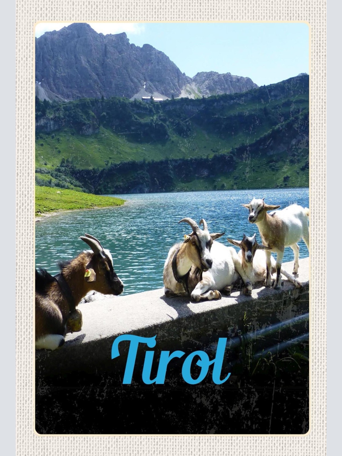 Schild Spruch Tirol Österreich Berge Bergsee Ziegen JW