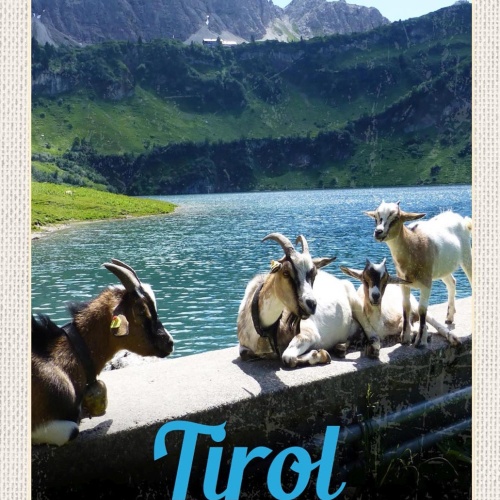 Schild Spruch Tirol Österreich Berge Bergsee Ziegen JW