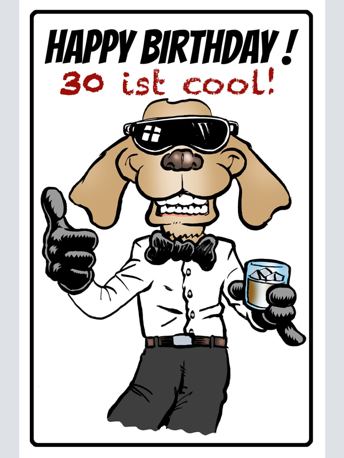 Schild Spruch Happy Birthday Geburtstag 30 ist cool Comic JW