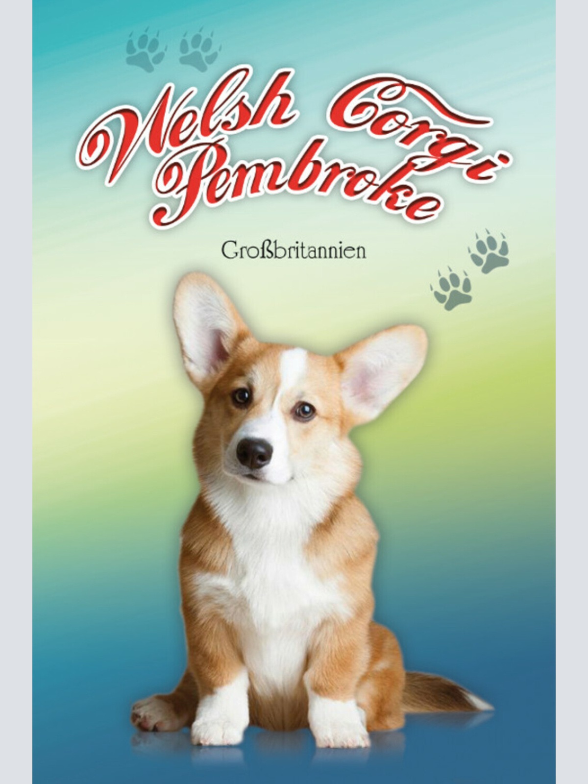 Schild Spruch Welsh Corgi Pembroke Hund Großbritannien JW