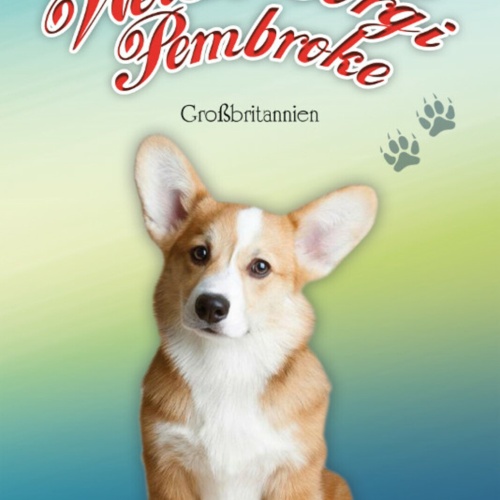 Schild Spruch Welsh Corgi Pembroke Hund Großbritannien JW