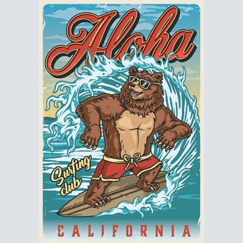 Schild Spruch Aloha Surfing Club California Bär  JW