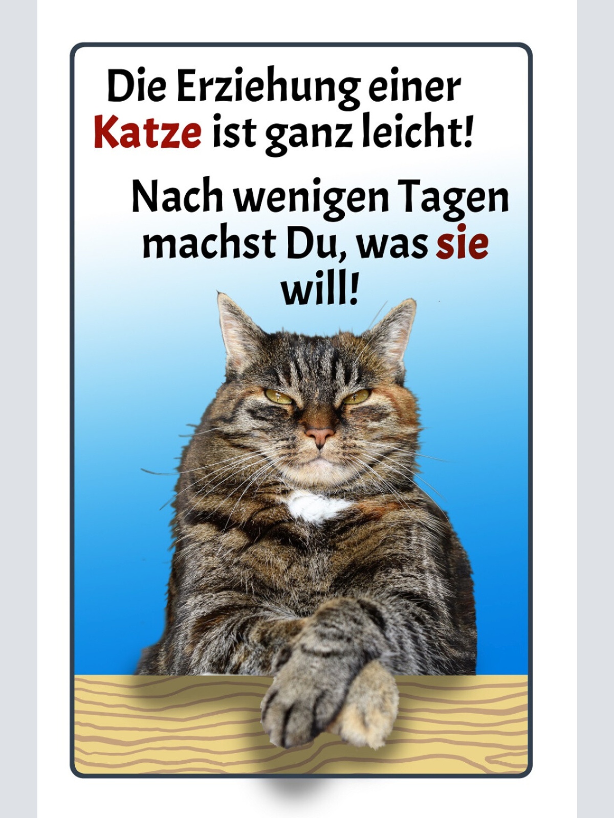 Schild Spruch Erziehung Katze leicht Nach wenigen Tagen machst was sie will JW