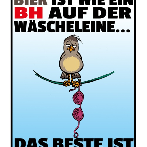 Schild Spruch Alkoholfreies Bier wie BH auf Wäscheleine Beste is raus Alkohol JW