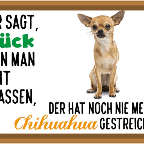 Schild Spruch Wer sagt Glück nicht anfassen hat nie Chihuahua gestreichelt JW