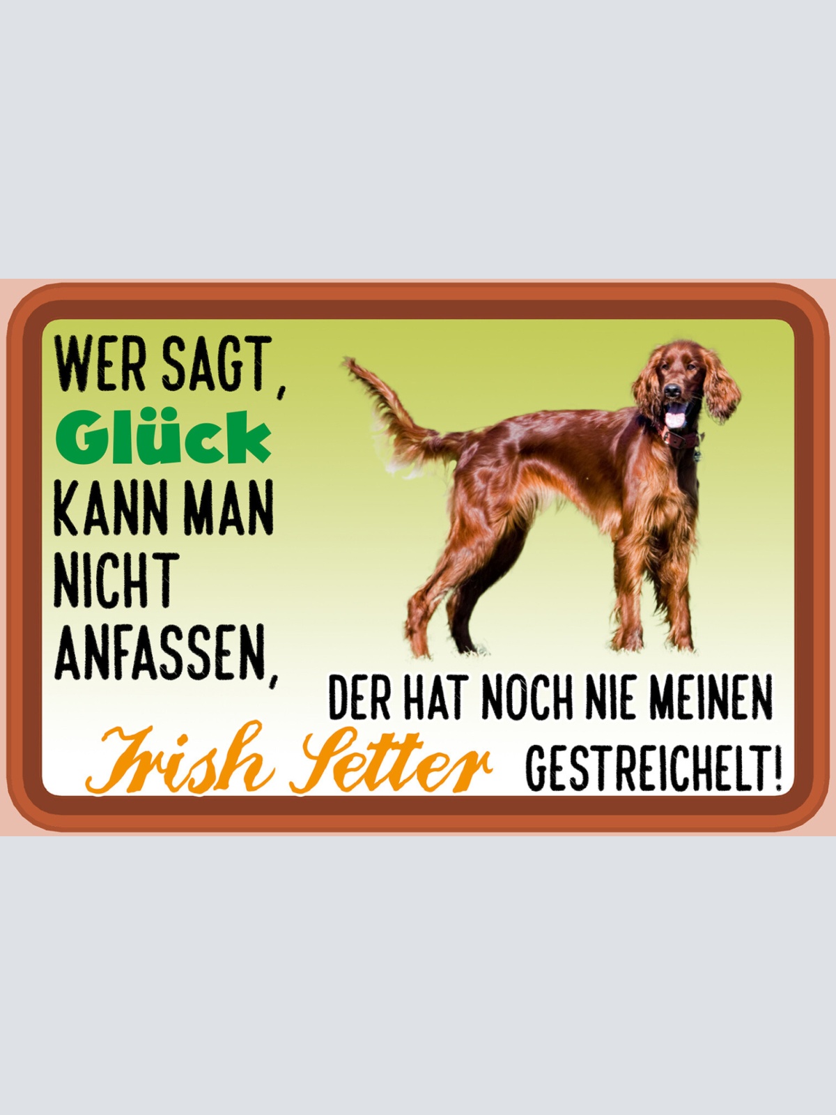 Schild Spruch Wer sagt Glück nicht anfassen hat nie Irish Setter gestreichelt JW