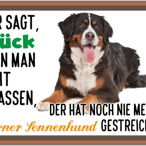 Schild Spruch Wer sagt Glück kann man nicht anfassen Berner Sennenhund  JW
