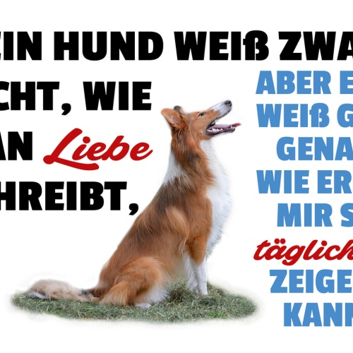 Schild Spruch Mein Hund weiß zwar nicht wie man Liebe schreibt zeigt sie mir  JW