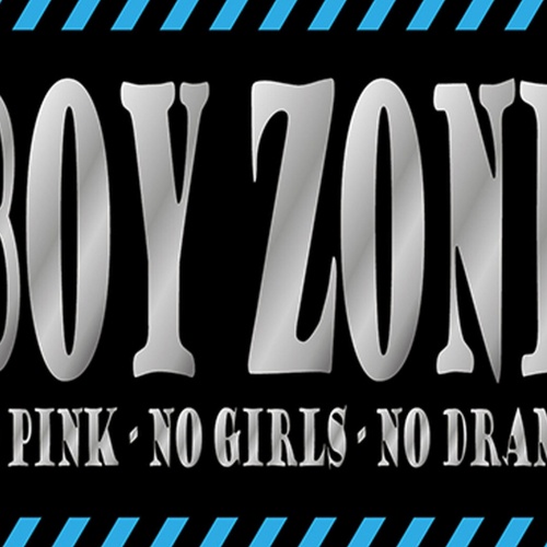 Schild Spruch Boy Zone No Pink No Girls No Drama Buben Bereich Kein Drama JW