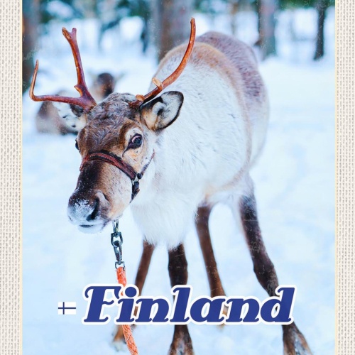 Schild Spruch Finland Finnland Rentier Wald Schnee Winter JW
