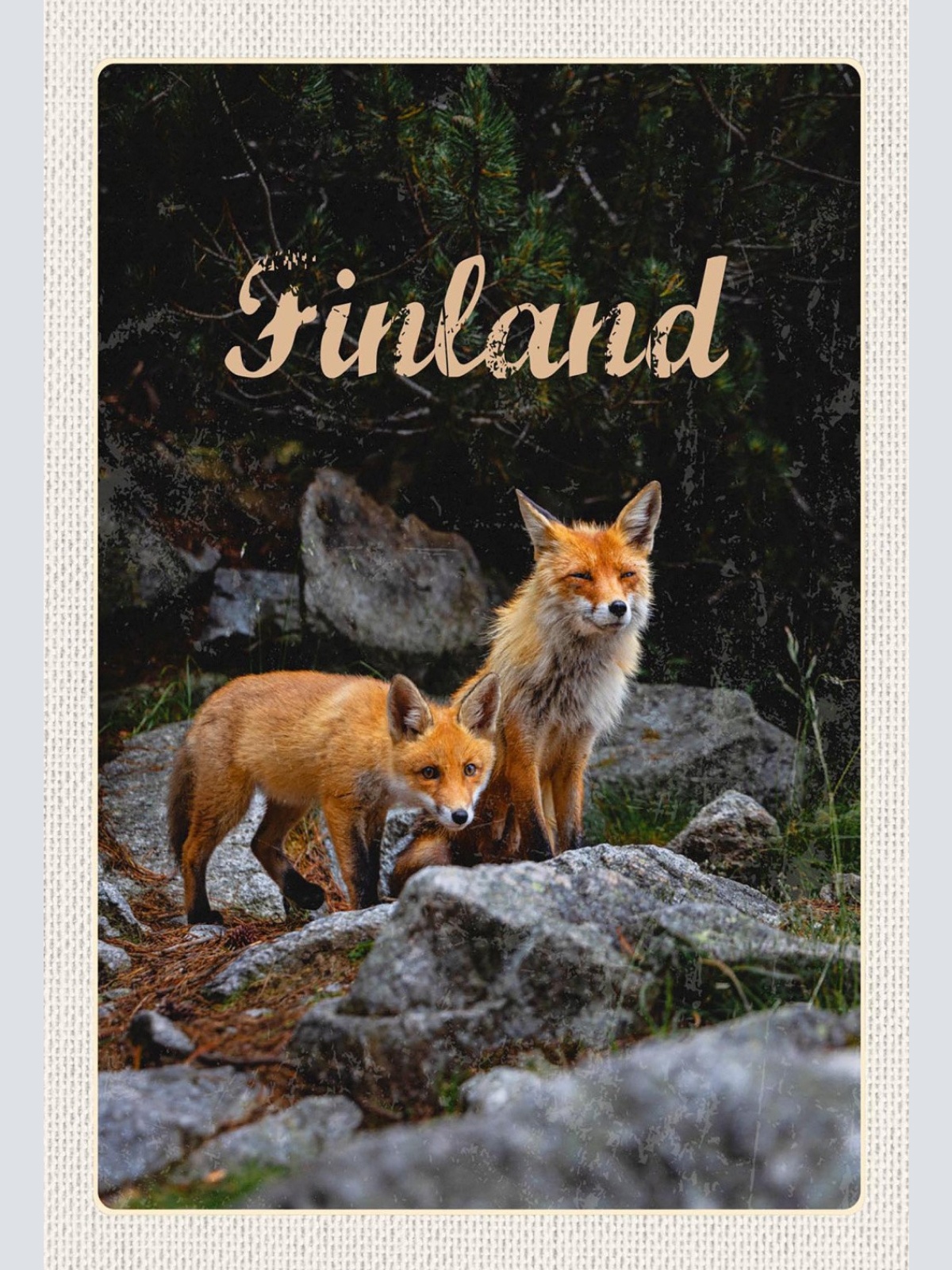 Schild Spruch Finland Finnland Füchse Wald JW