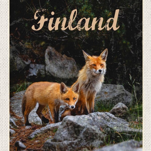 Schild Spruch Finland Finnland Füchse Wald JW