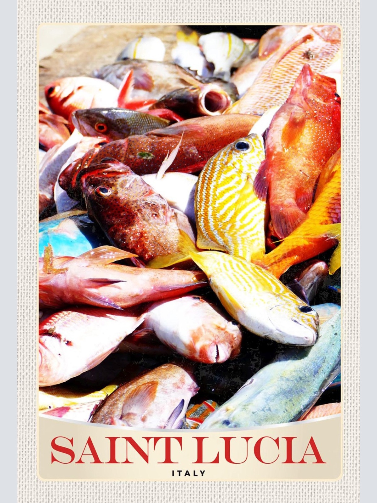 Schild Spruch Saint Lucia Italy Italien Fische JW