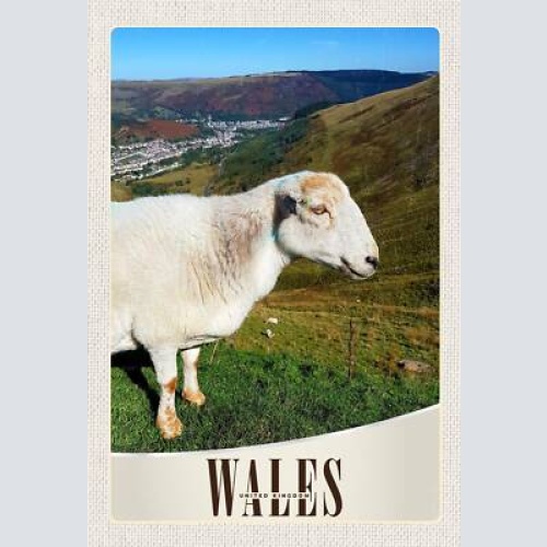 Schild spruch wales united kingdom vereinigtes königreich schaf hügel jw