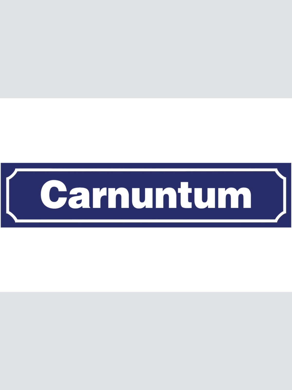Schild Carnuntum Niederösterreich Rom Stadt Ort Straße 46 x 10 Blech od. Holz