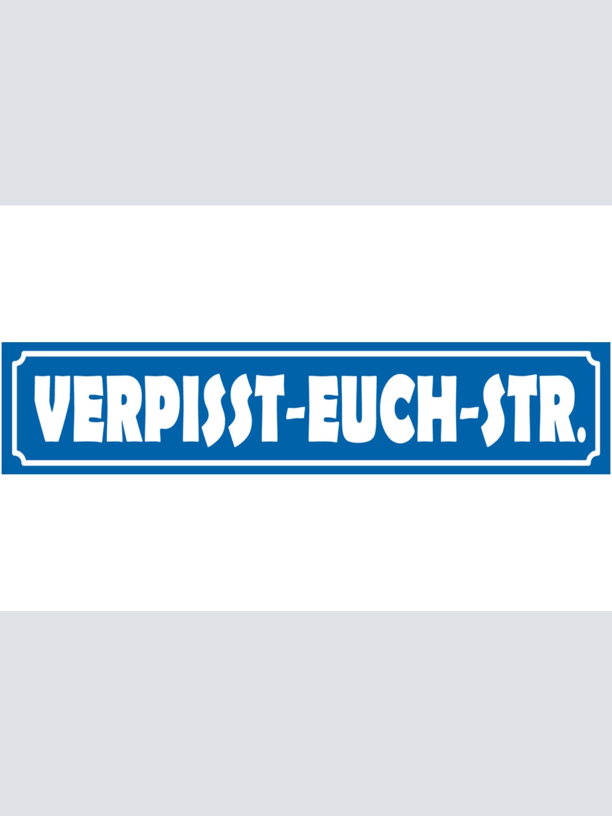 Schild Verpisst Euch Straße Ort Gasse Fluchen Beschimpfung 46 x 10 Blech od.Holz