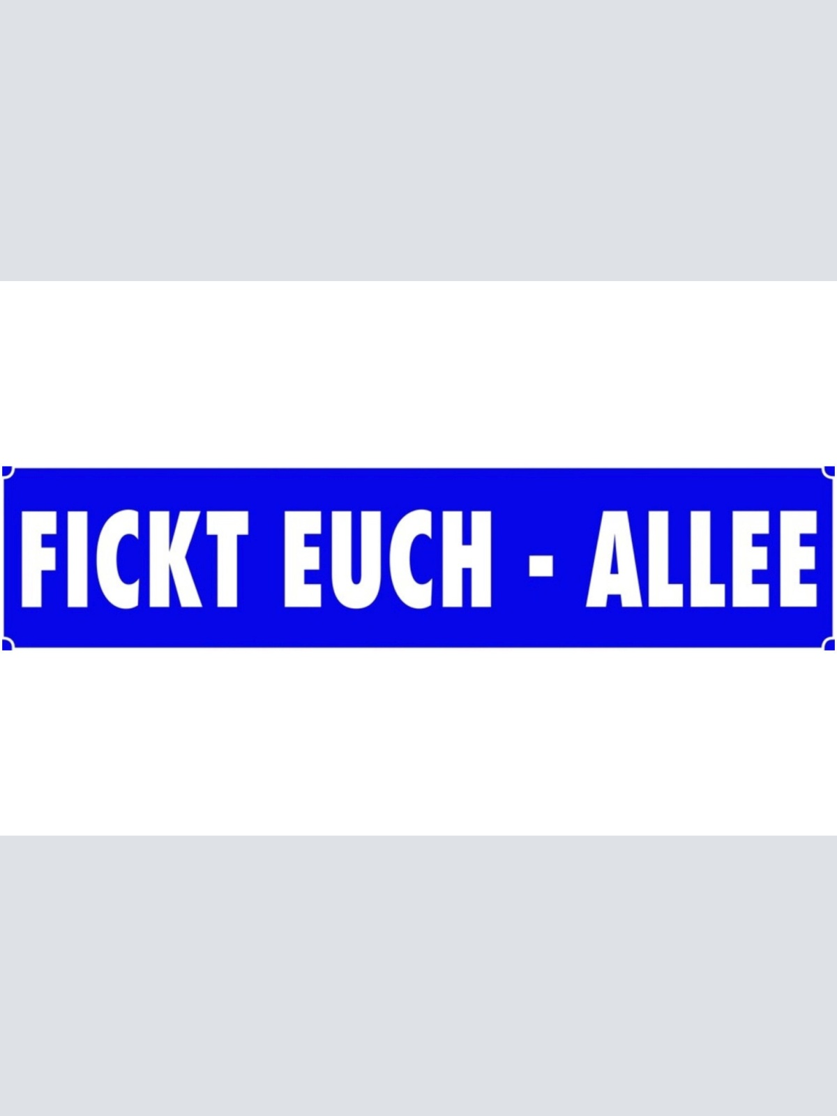 Schild Fickt Euch Allee Straßenschild Straße Beschimpfung 46 x 10 Blech od.Holz