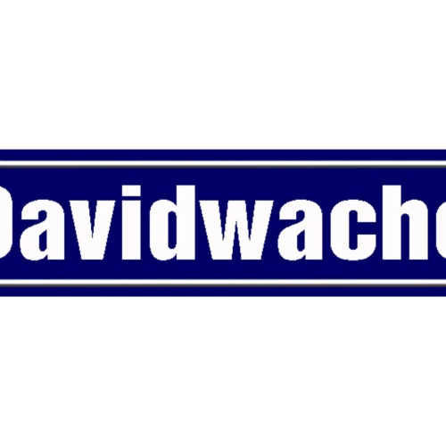 Schild Davidwache Polizei Hamburg Stadt Ort Platz Straße 46 x 10 Blech od. Holz
