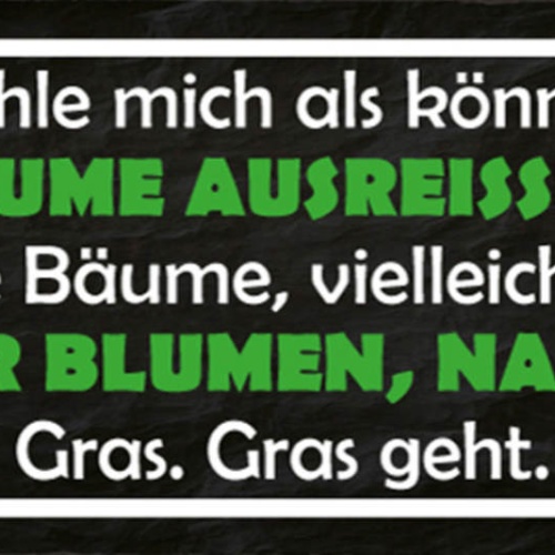 Schild Ich Fühle Mich Als Könnte Ich Bäume Ausreissen Bäume Bambus Blumen Gras