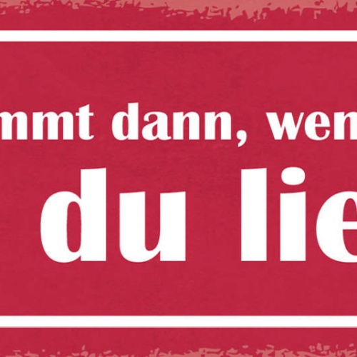 Schild Erfolg Kommt Dann Wenn Du Tust Was Du Liebst Leben 27x10 Blech od.Holz
